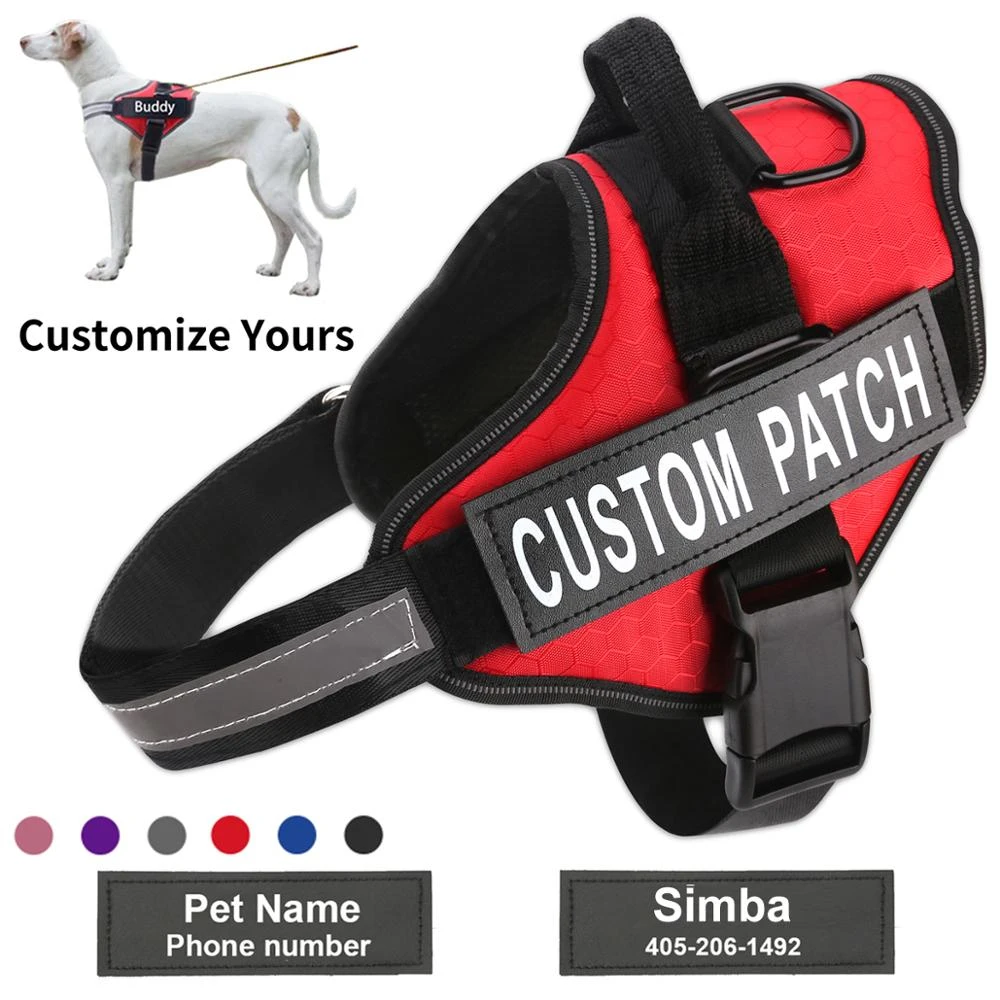 Personalized Dog Vest Custom No-Pull Dog Harness Set - Personalized Pet Vest With Leash, Adjustable & Padded In Light Green Medium Easy On Dog Harness - Foto 10
