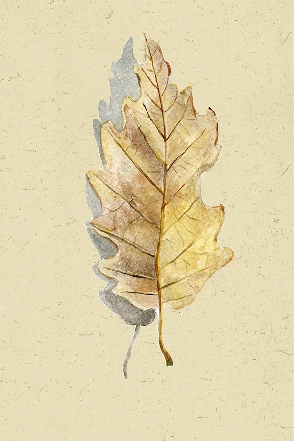 Type B Наборы для вышивки крестом наборы для вышивания рукоделия 11CT водорастворимый холст узоры 14CT цветочный стиль лист silhouette-NCMF210 - Color: Type B