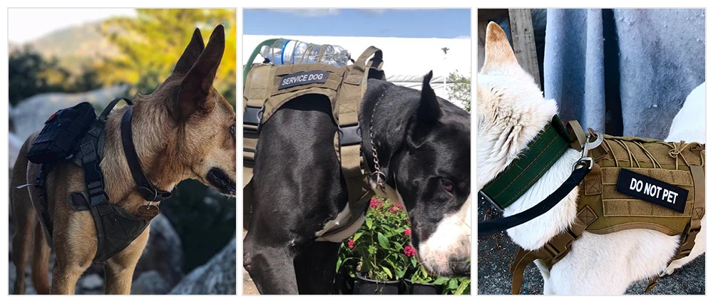 Triple image of dogs in service vests. From left to right: brown dog outdoors, black dog with "SERVICE DOG" vest made from durable 1000D Nylon, and white dog with "DO NOT PET" vest standing on pavement, each equipped with a Tactical Dog Harness & Leash Set from The Stuff Box featuring the MOLLE system.