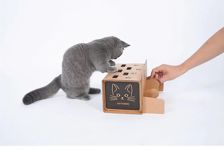 Catnip cat toy set soft solid interactive toy funny cat toy pet cat training game cat supplies