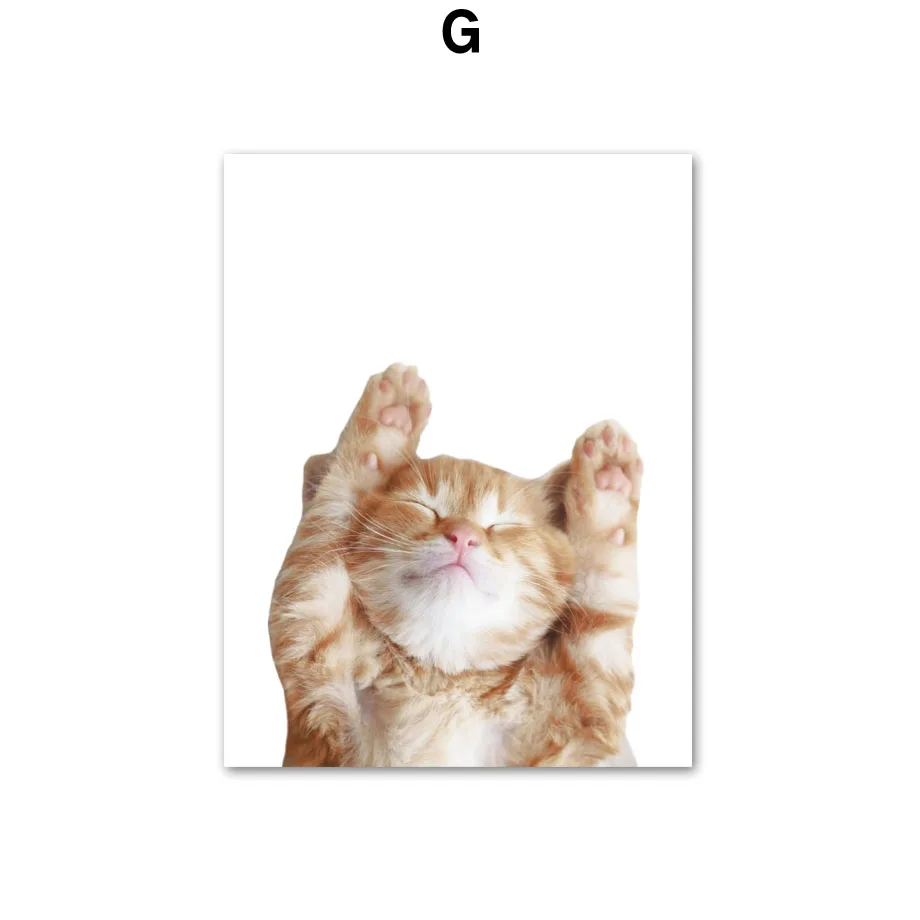 Wall-Art-Canvas-Painting-Funny-Cat-Gymnastics-Kitty-Nordic-Posters-And-Prints-Wall-Pictures-For-Living (10)