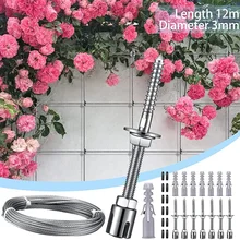 Stainless Steel Trellis For Climbing Plants Professional System As Complete Set With Wall Brackets And 3 Mm Steel Cable Garden