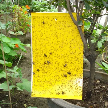 

20pcs Strong Flies Traps Bugs Sticky Board Catching Aphid Insects Killer Pest Control Whitefly Thrip Leafminer Glue Sticker