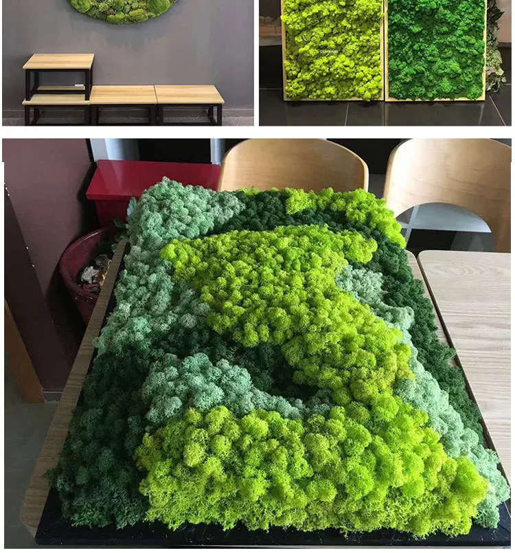 Musgo Artificial de 100g plantas de simulación de musgo inmortal, Micro  paisaje bonsái decoración de jardín interior musgo verde - AliExpress