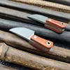 Droshipping Stainless Steel Solid wood Pocket Fixed Blade Knife Mini Tiny Kitchen Knife Blade Keychain Portable Decorations ► Photo 3/6