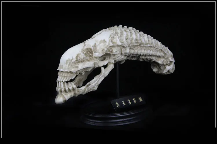 1/6 масштаб чужеродный xenomorph статуя черепа модель смоляная Статуэтка Изысканная статическая миниатюрная имитация Моделирование Коллекция украшения