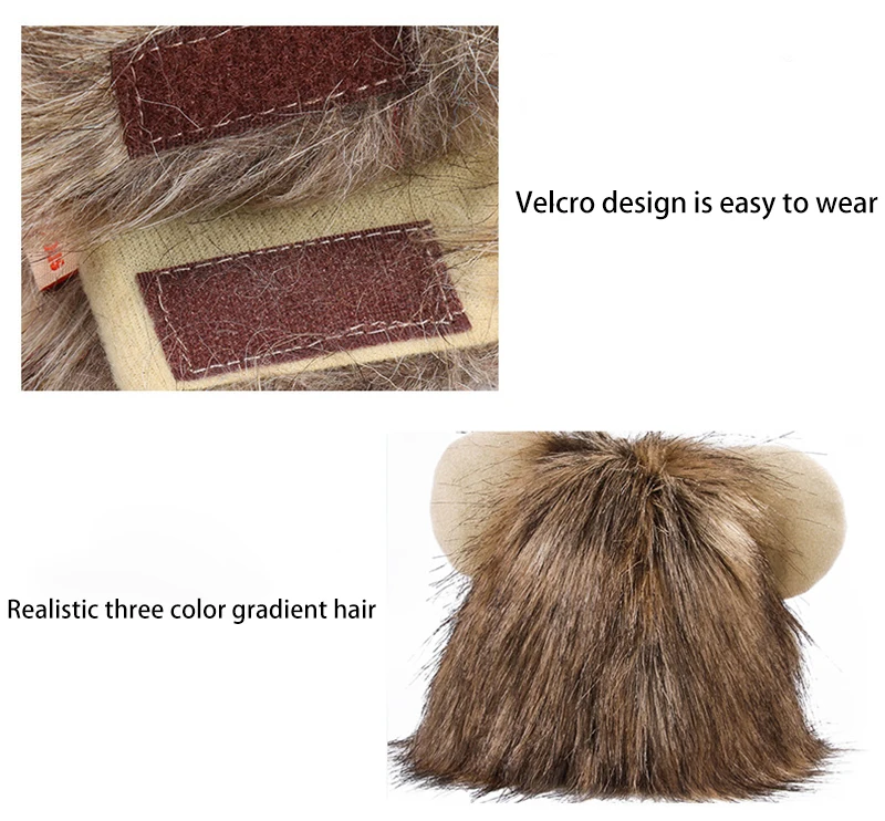 12496393245_906868034 拷贝