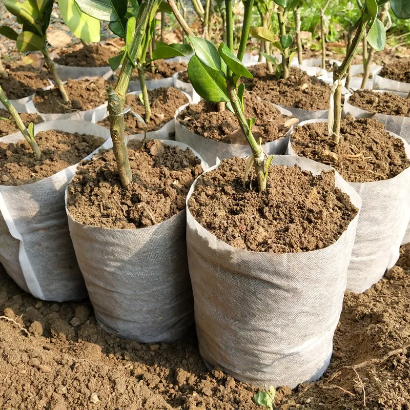 

100/50PCS Seedling Plants Nursery Bags Organic Biodegradable Grow Bags Fabric Eco-friendly Ventilate Growing Planting Bags