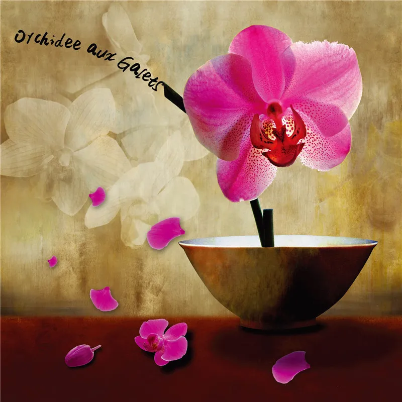 12364205846_790891340