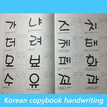 1 Livres pour enfants coréen Livres écrits à la main cahier d'exercices pratique de base autocollants de mot étude Libros Livros Livres chinois adulte