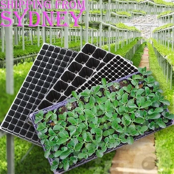

10x 72 Hole Plant Seed Grow Box Insert Propagation Nursery Seedling Starter Tray Extra Strength Germination Flower Pots For Gard
