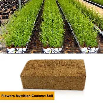 

Nutrition Micro Soil Coconut Fiber Coconut Powder Coconut Silk Bricks for Flowers Nutrition Coconut Soil Gardening Supplies