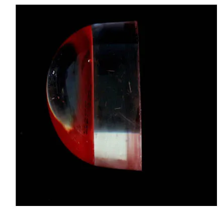 egg timer creative color changing observer resin gadget egg cooker egg boiling machine (3)