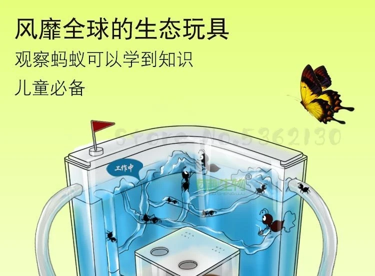 Ant workshop villa home ant castle ecological ant nest manor ant pet ant living ant queen
