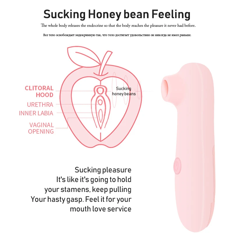 未标题-1-恢复的-恢复的.psd