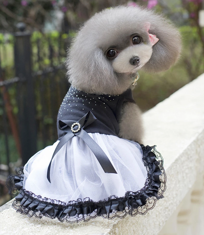 Dog dresses for medium dogs Clearance