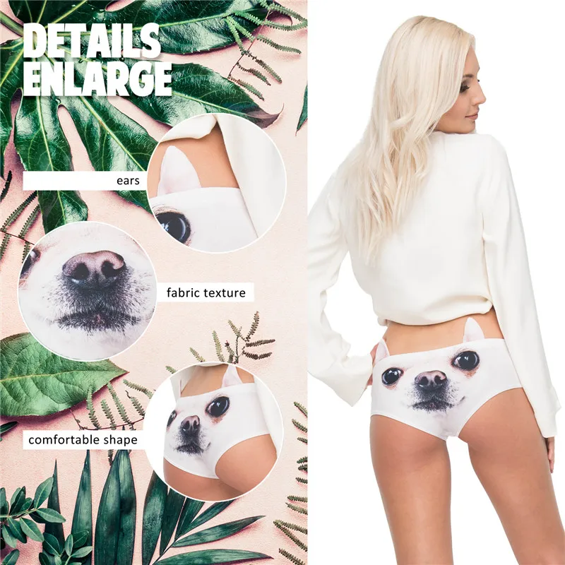 46724 chihuahua (00)