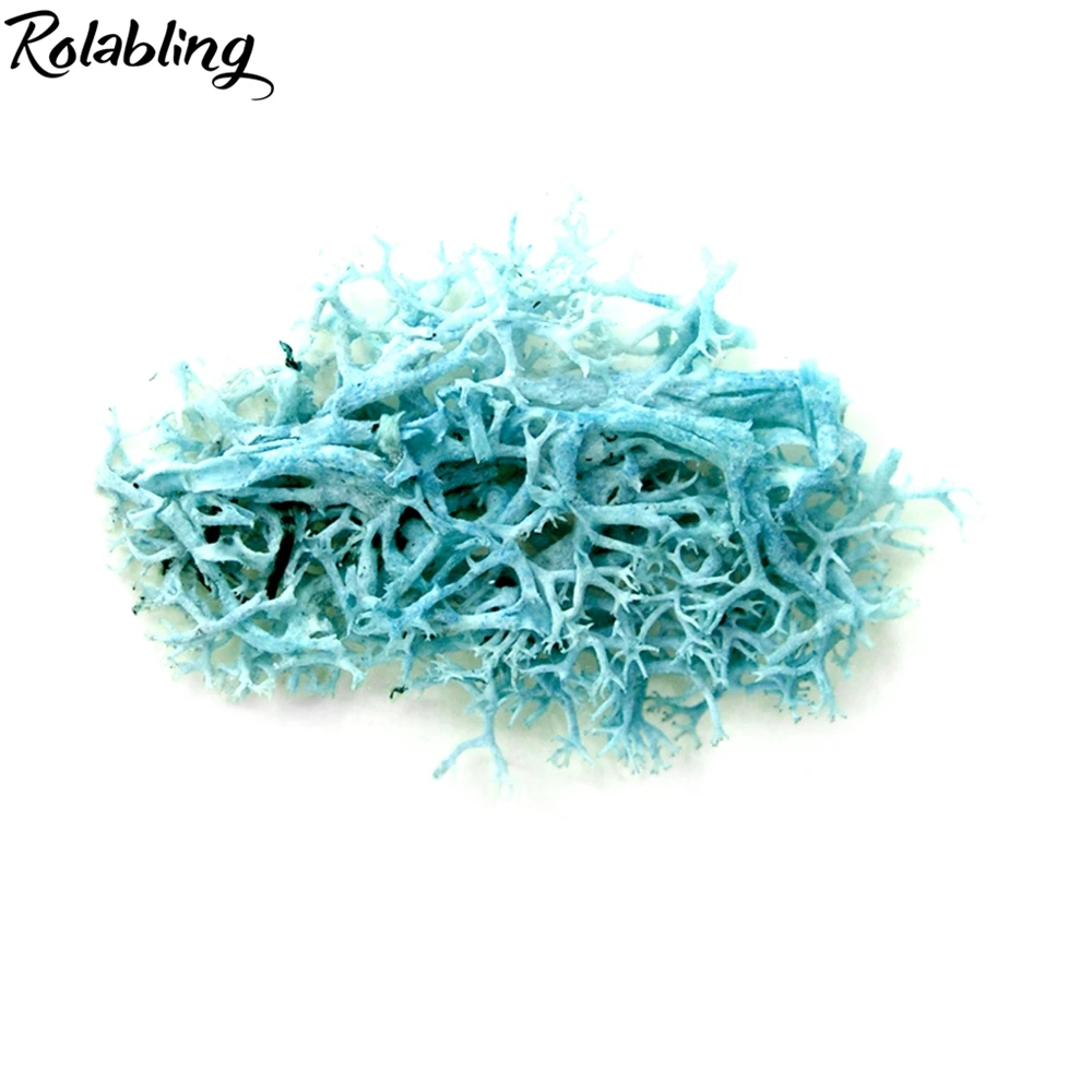 Rolabling 3D украшения для ногтей DIY микс сушеных цветочных листьев наклейки маникюра