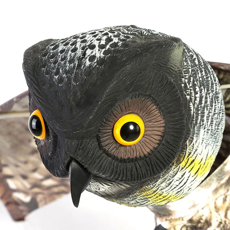BRD9687 (16)