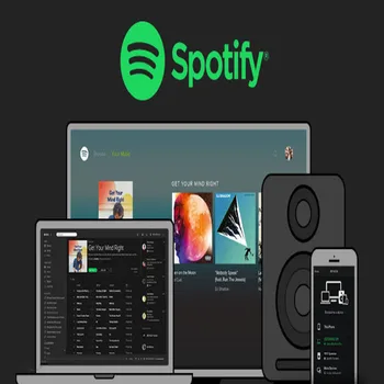 

Spotify Premium service Time TIDAL HIFI High-end Non-destructive Music Official Master Offline Listening Music Player