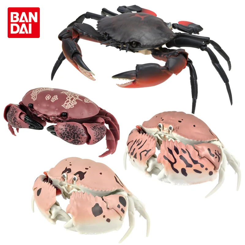 Bandai creatures Encyclopedia crab All 5 set  Figure Gashapon capsule toys