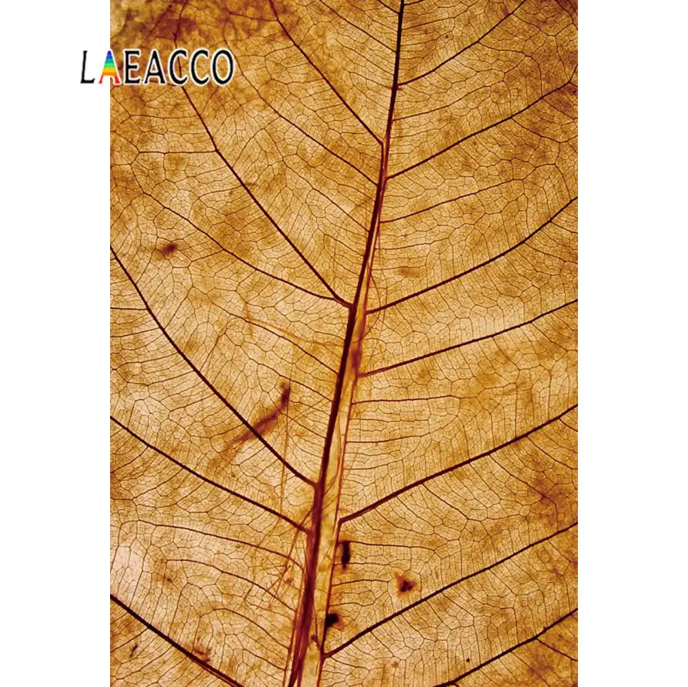 Laeacco осенние звёзды опавшие листья текстура узор кукла животное портрет фото