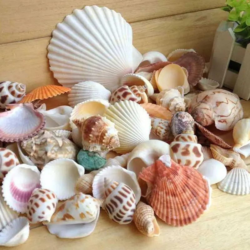 Аквариум Пляж морской DIY морские раковины смешанные оптом около 100 г