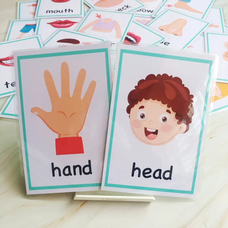 30 pièces partie du corps anglais apprentissage mot jeux de cartes Montessori bébé cartes Flash jouets éducatifs pour les enfants (lot de 30)