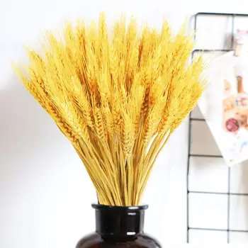 

100PCS/Set Dried Wheat Stalks Golden Natural Dried Flowers Wheat Fall Arrangement Bundle For Home Wedding Decor