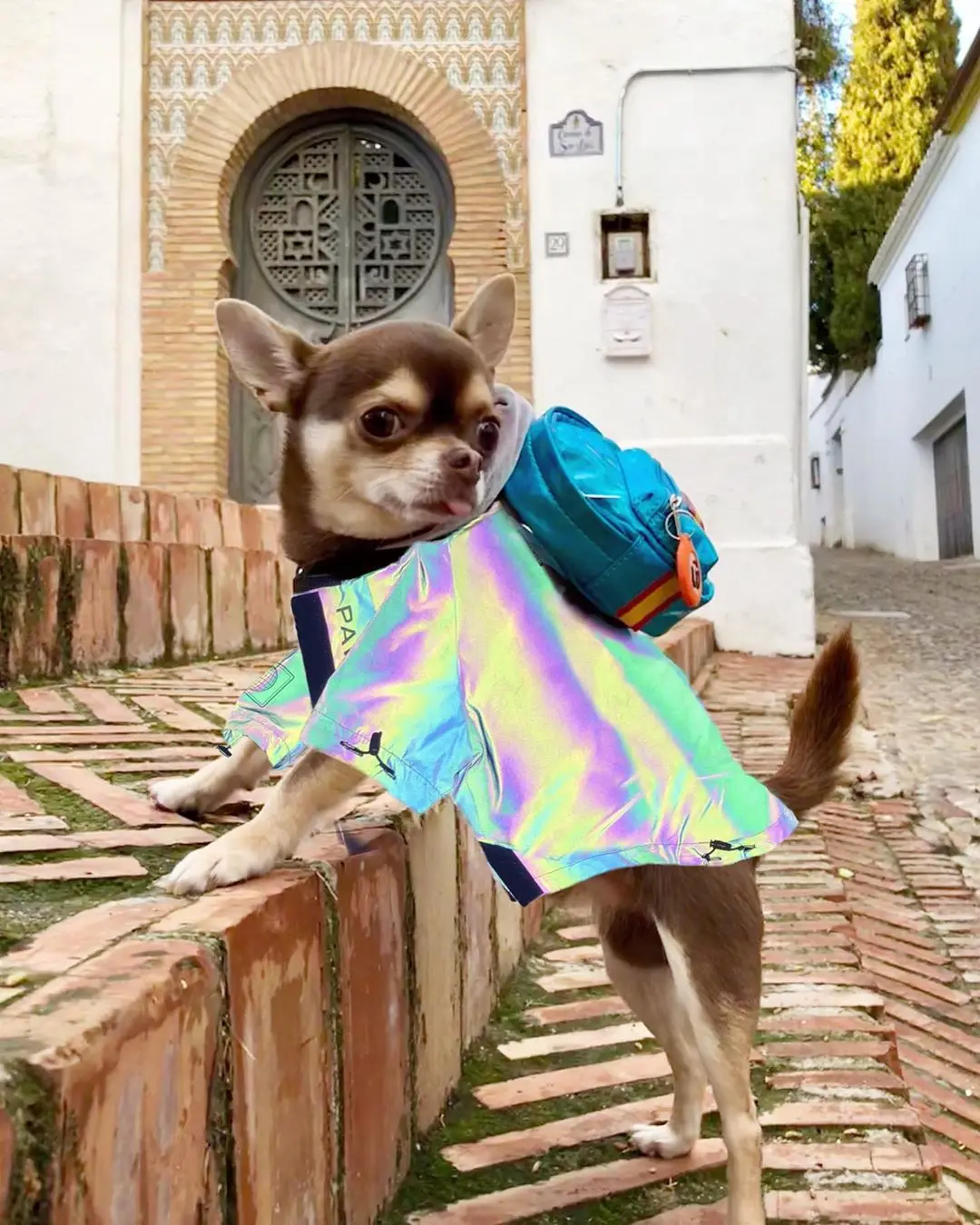 Светоотражающий мигающий светильник Одежда для собак Adidog Французский бульдог Pupreme рубашка собака ветровка для собак Толстовка с капюшоном Домашние животные одежда S-XXXL