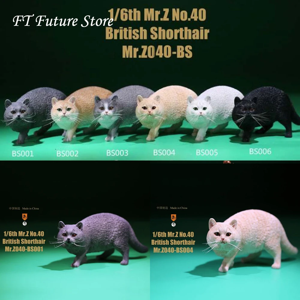 В наличии 1/6 сцена аксессуары животное из смолы модели Mr.Z животных британский