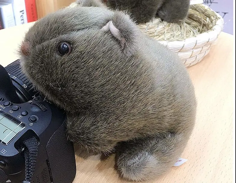 Новая игрушка домашняя морская свинка плюшевая мягкая кукла детская