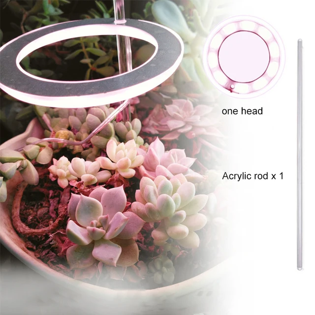 Angel Three Ring Grow Light DC5V USB Phytolamp For Plants Led Full Spectrum Lamp For Indoor Plant Seedlings Home Flower Succulet pink white 1 head