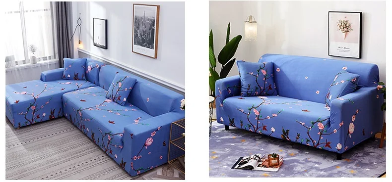 11697429460_1690726818