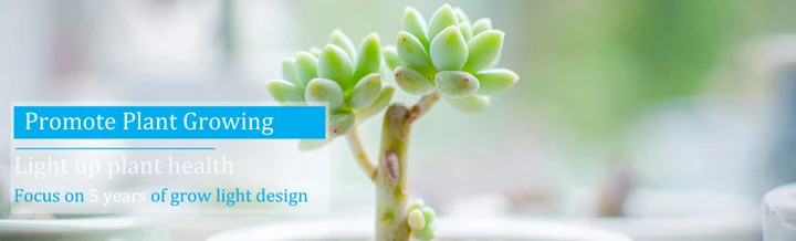 Hydroponic 80*80*160cm Grow Kit System for Indoor use