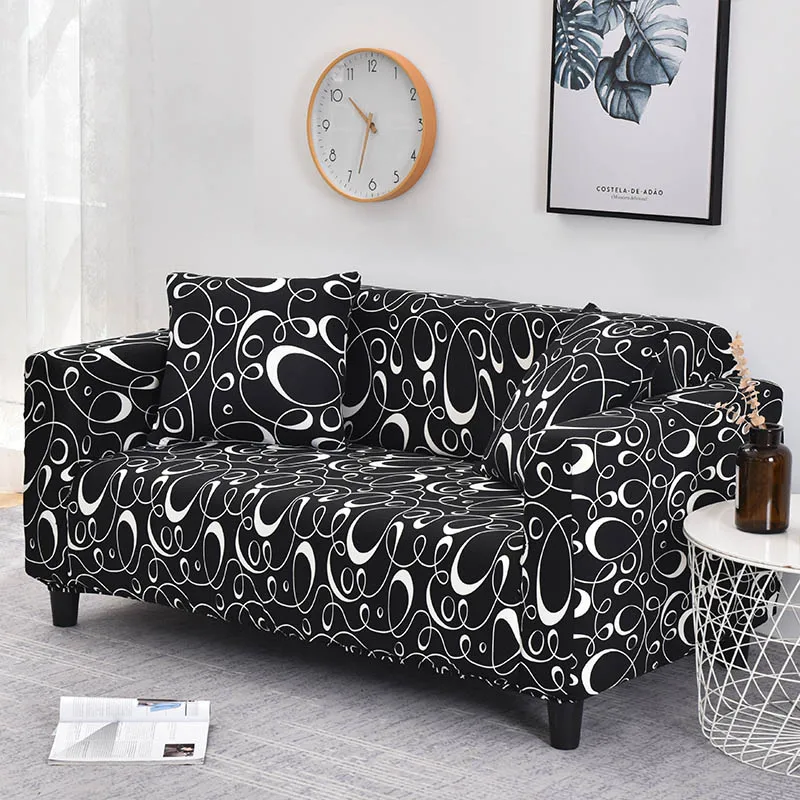 DSC_7165立派摄影 (3)