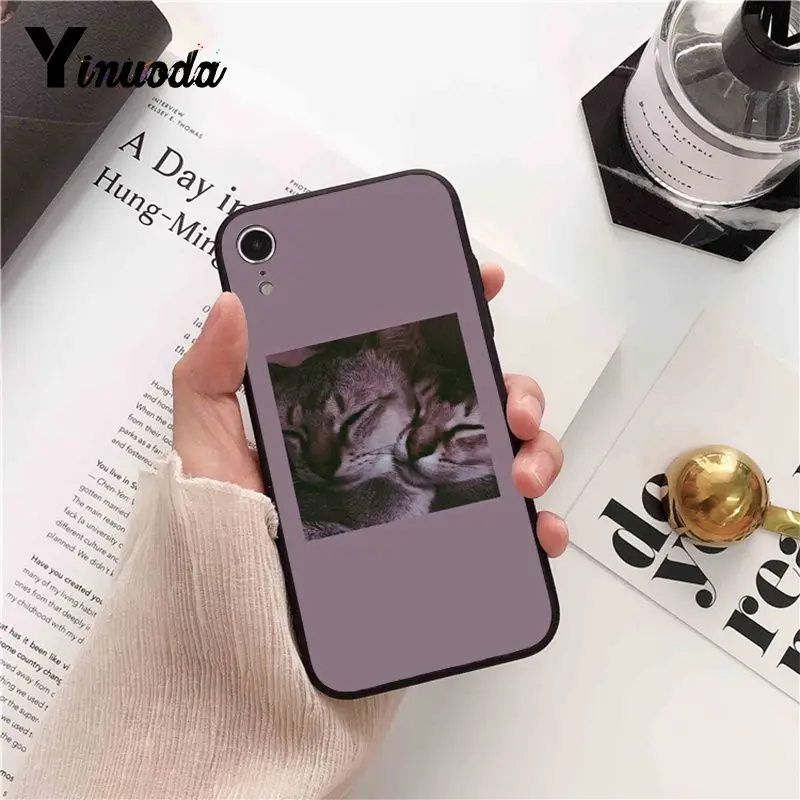 funny cat dog mood