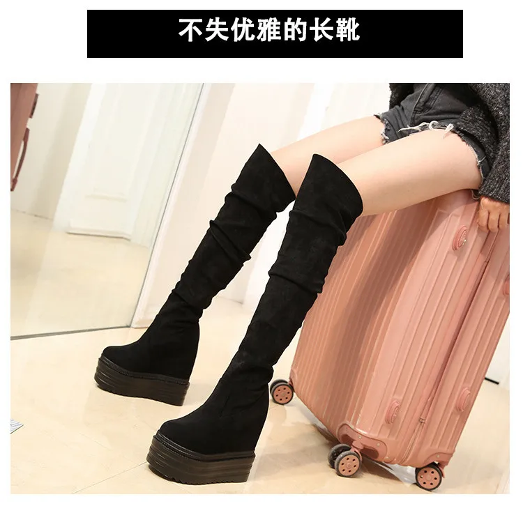 12474636874_81353897