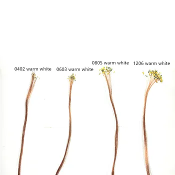 49002-29e08c.jpg