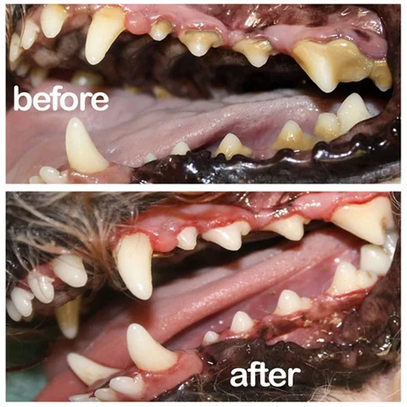 ПЭТ спрей собака уход за полостью рта дурное дыхание чистка зубов освежитель полости рта доска для удаления TT-best