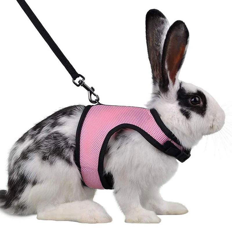 

Guinea Pig Rabbit Hamster Mesh Traction Rope Small Pet Traction Belt Rabbit Clothes Small Animals Pet Products Accessories