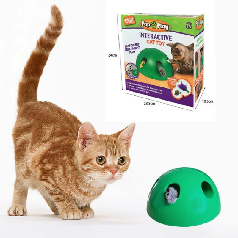 11985352956_412945329