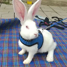 Coleira de coelho pequeno animal estimação colete trelas terno gato filhote de cachorro gato chumbo colete runing viagem portátil pequenos animais malha coleiras de algodão