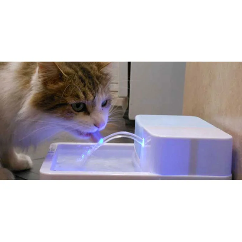 Are Dog Water Fountains Safe