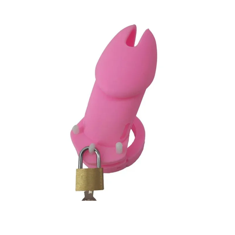  (6)