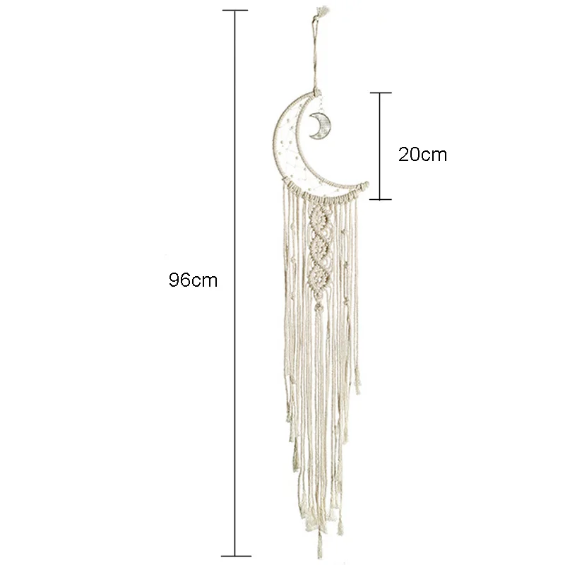 13506529277_77670229