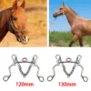 Stainless Steel Horse Bit Copper Mouth Sweet Iron W/Curb Hooks Chain with Silver Trims Harness Antirust for Training Equipment 3