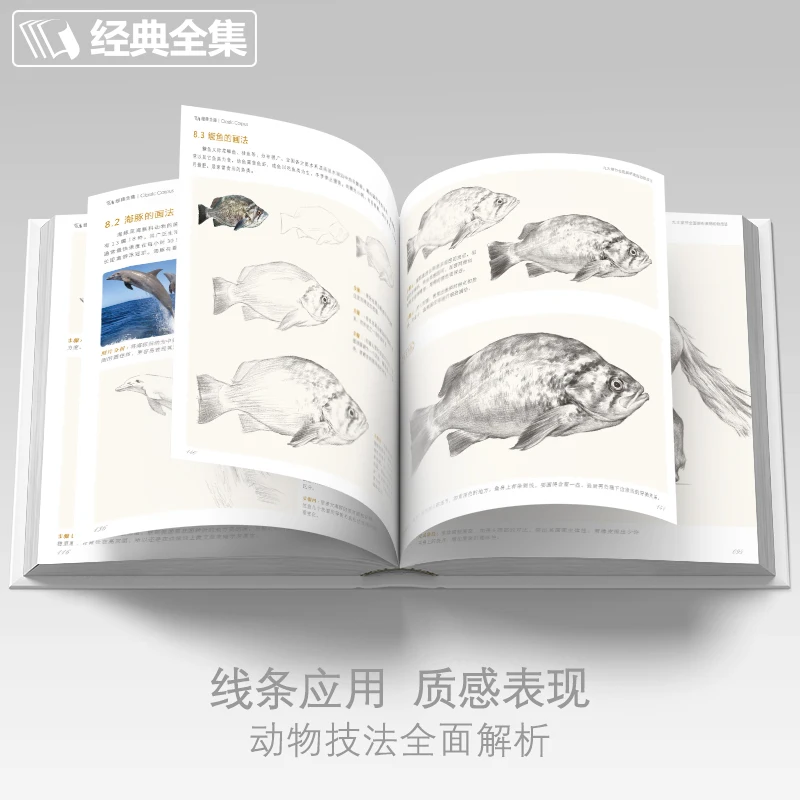 Libri da disegno a mano a matita Libro di pittura Schizzo per adulti Tecniche di animali Con iniziare Copia Tutorials Libro di testo con base zero - immagine 5