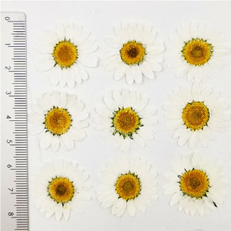 2-3CM