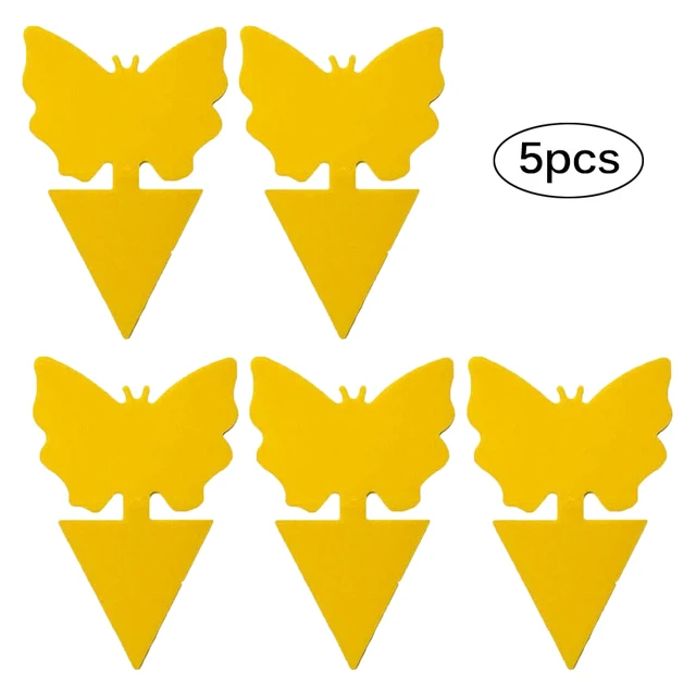 5pcs Butterfly